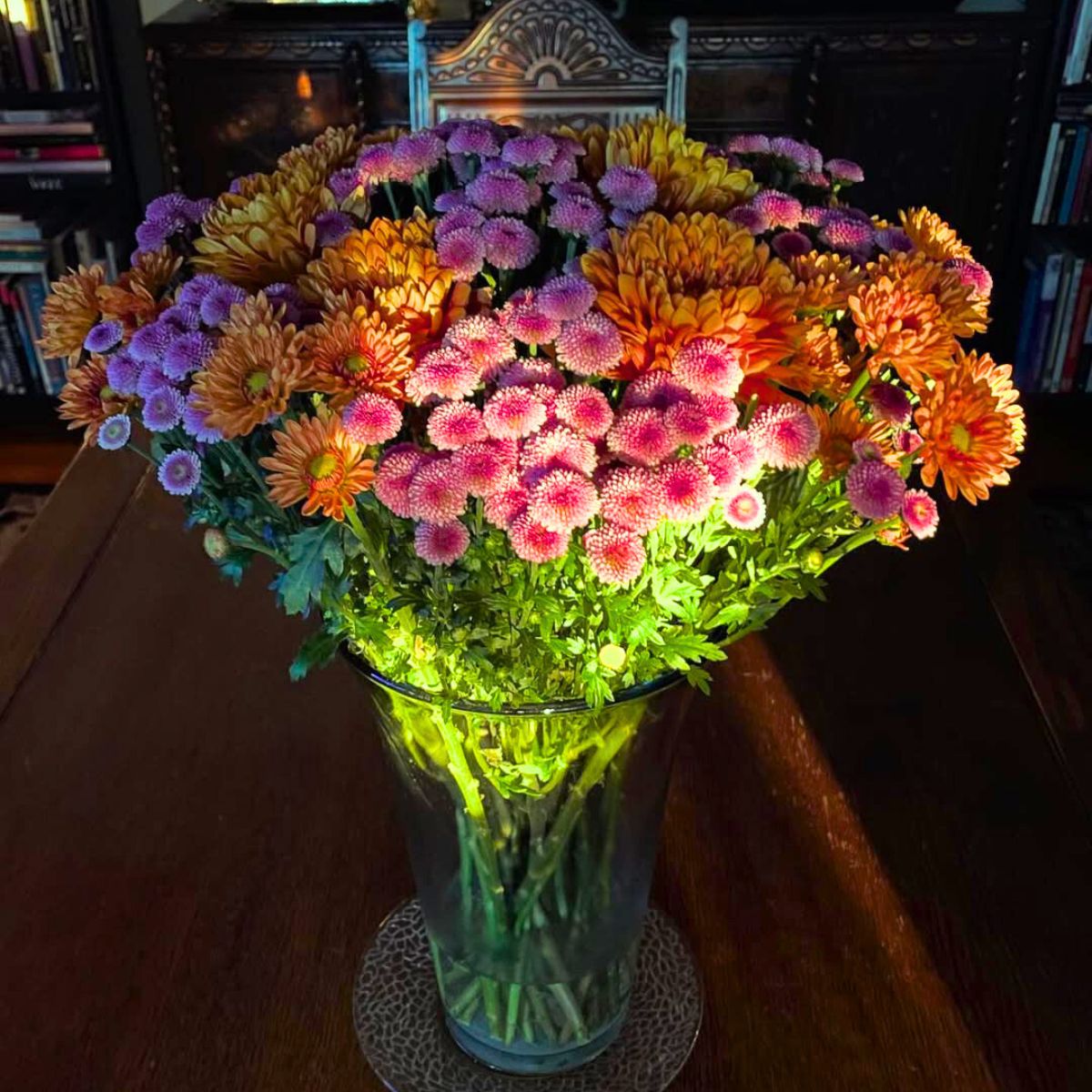 An arrangement of chrysanthemums in the sun