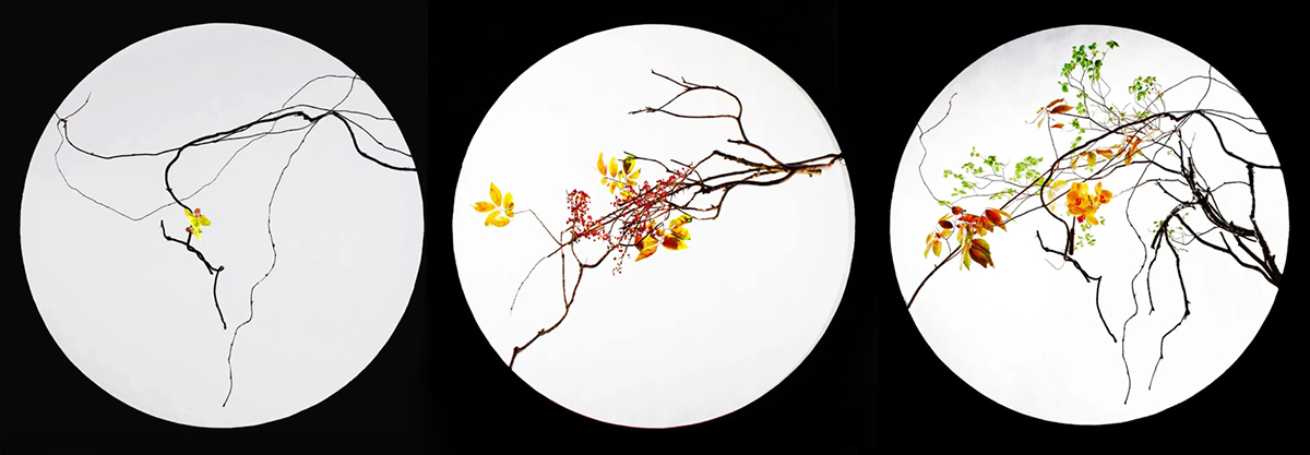 Ni Zhixiang Three Oriental minimalist designs