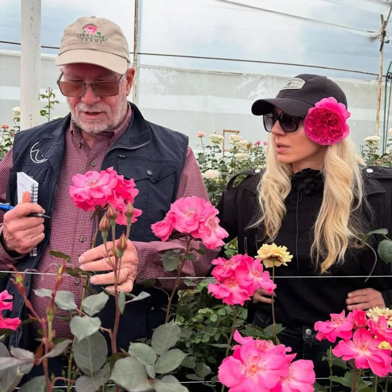 Alexandra Farms visits