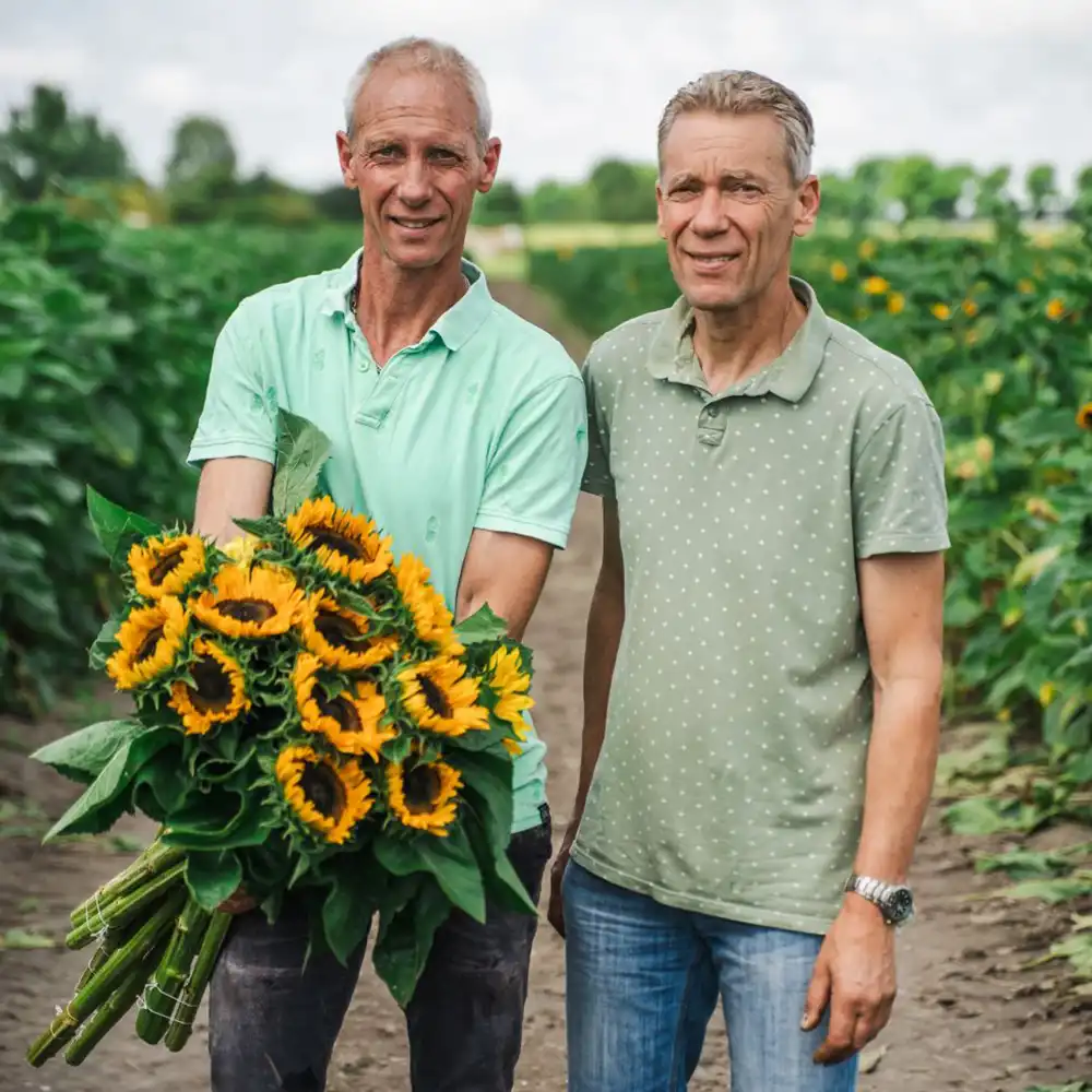 Daily Sunshine grower on Thursd feature