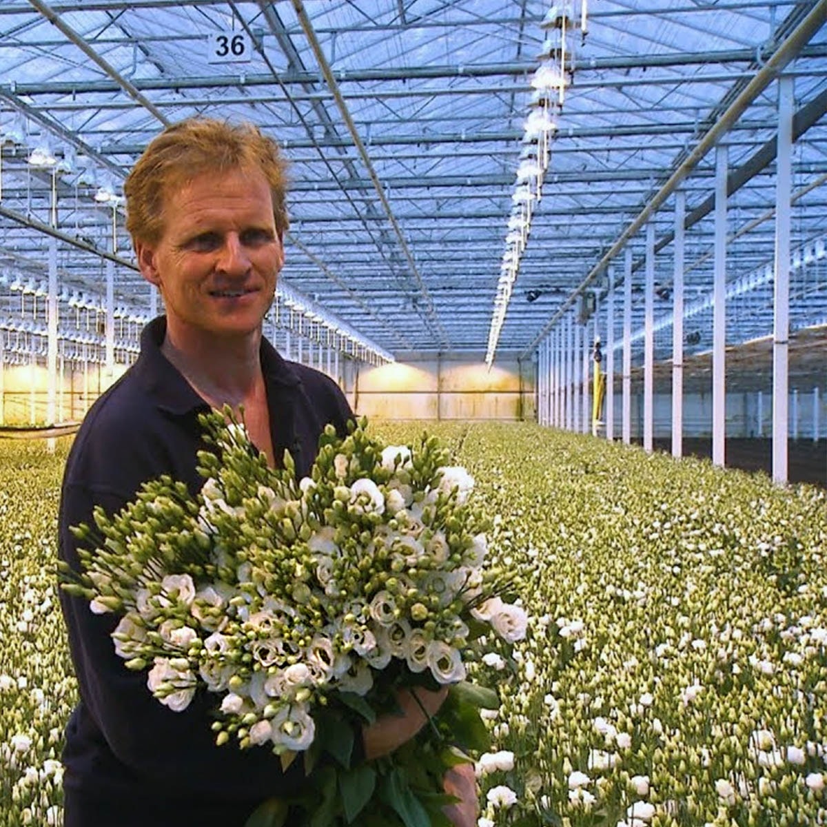 Jan van Wijk from Kwekerij Waalzicht