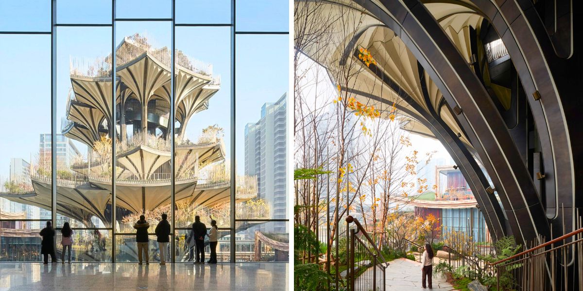 Other views of the project by Heatherwick Studios
