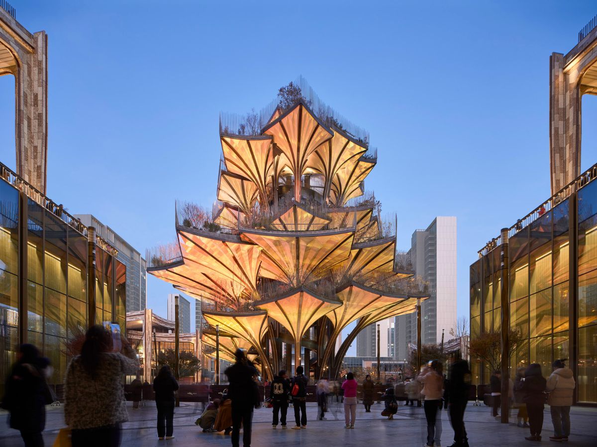 The tree tower during the nighttime