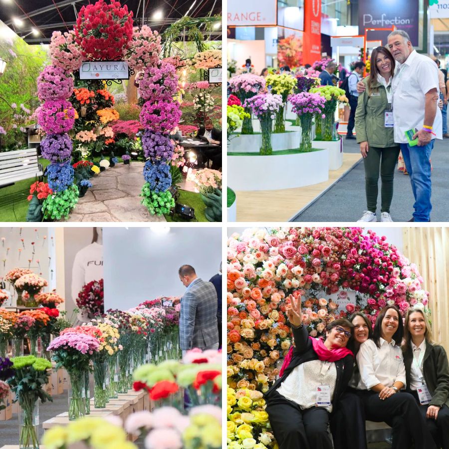 Moments during Proflora Colombia Moments during Proflora Colombia