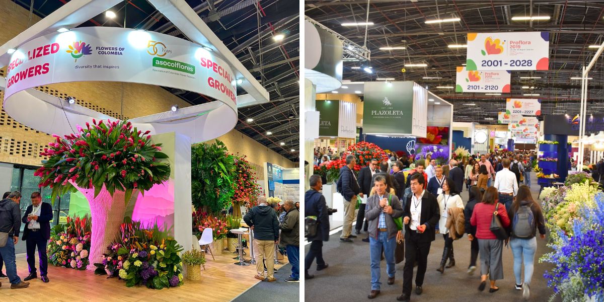 Flowers of Colombia present at Proflora Flowers of Colombia present at Proflora
