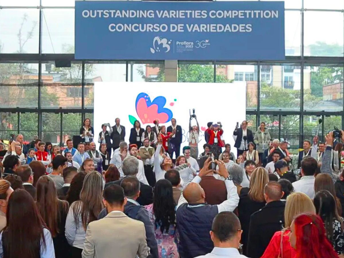Outstanding Varieties Competition in Proflora Colombia