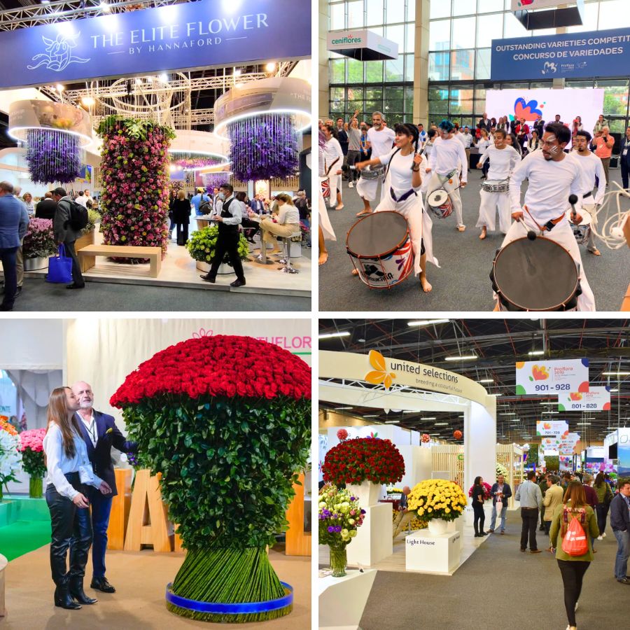 Stands and people during Proflora