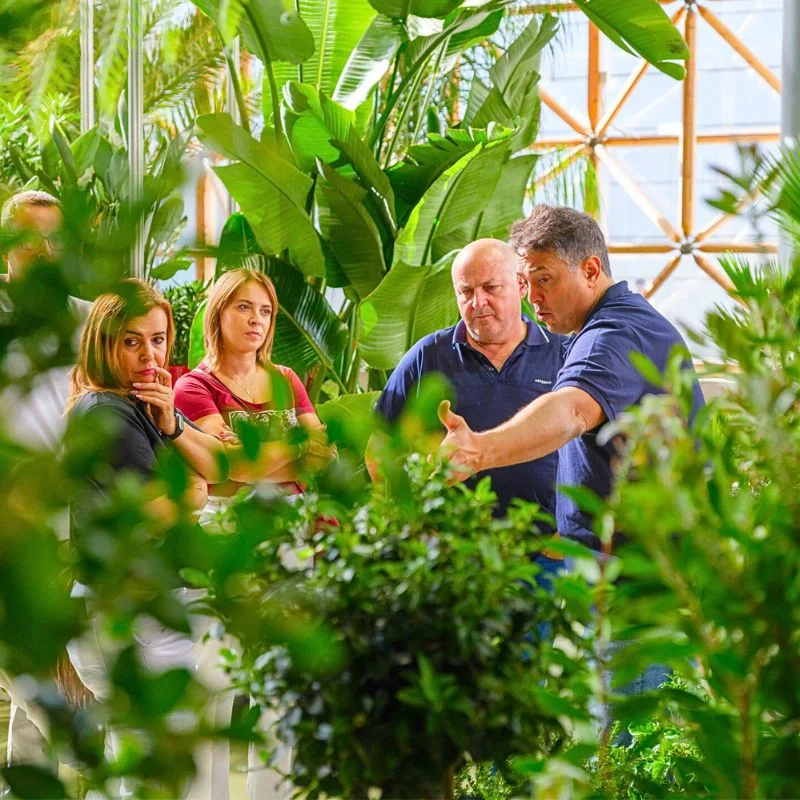 Iberflora green spaces