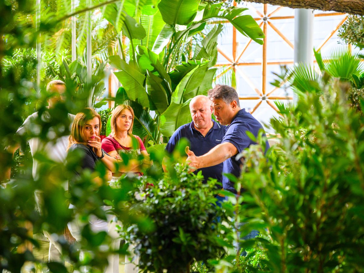 Greens everywhere at Iberflora