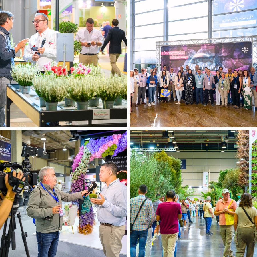 People visiting the pavillions at Iberflora