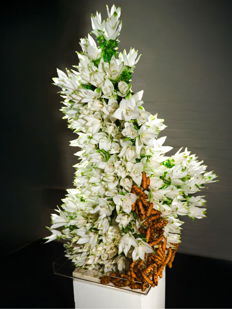  White Curcuma by Villa Curcuma design by Joseph Massie