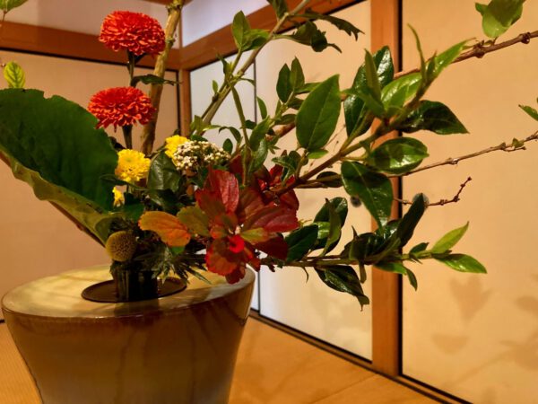 Els Claes Ikebana Ikenobo Chrysanthemums in Japanese Garden Hasselt for Haiku in Bloom - Just Chrys - Blog on Thursd