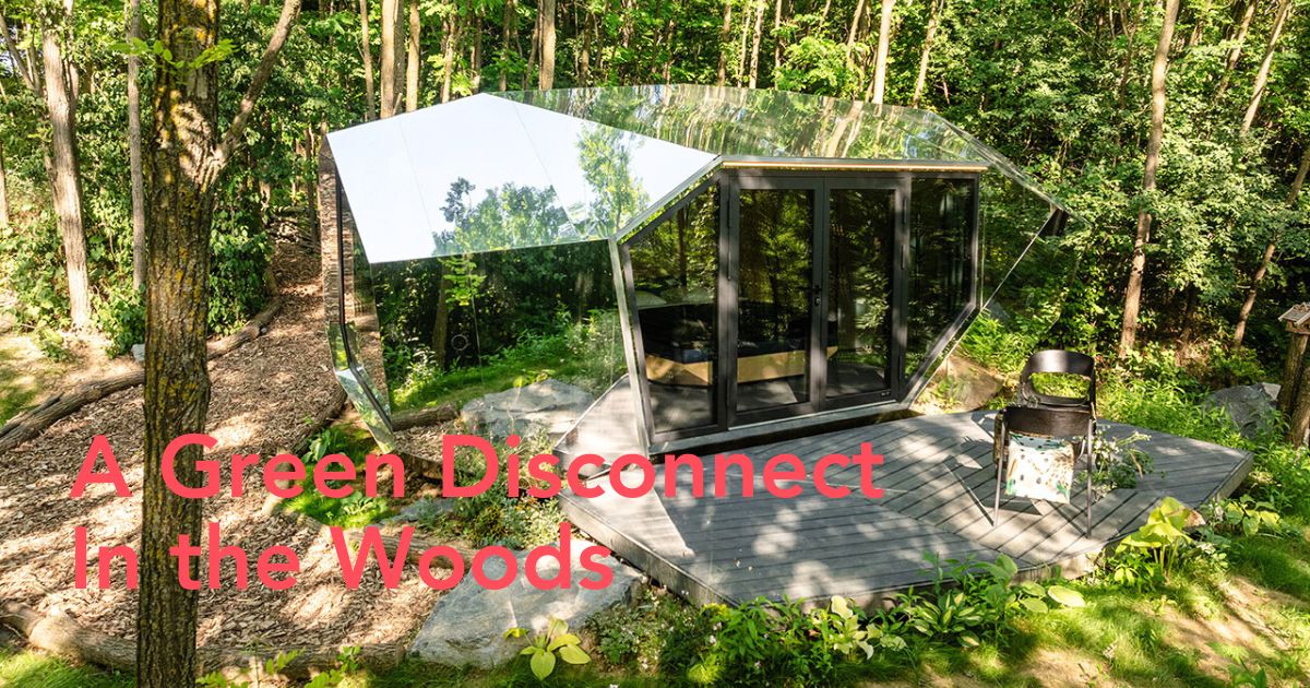 Green cabin in the woods