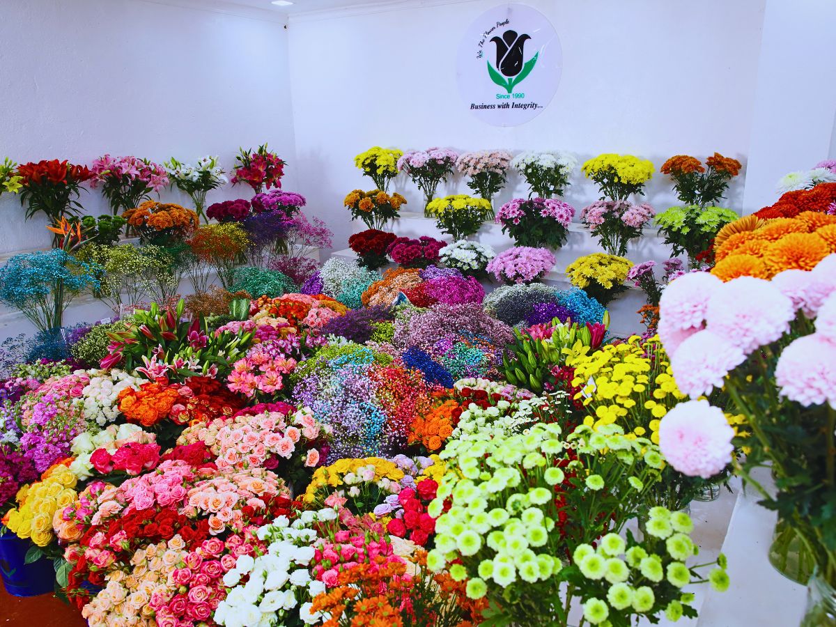 Fairtrade Flowers’ Ideals Inspired Sustainable Flower Cultivation Practices at Black Tulip Group’s Nelion Flora - Thursd Article