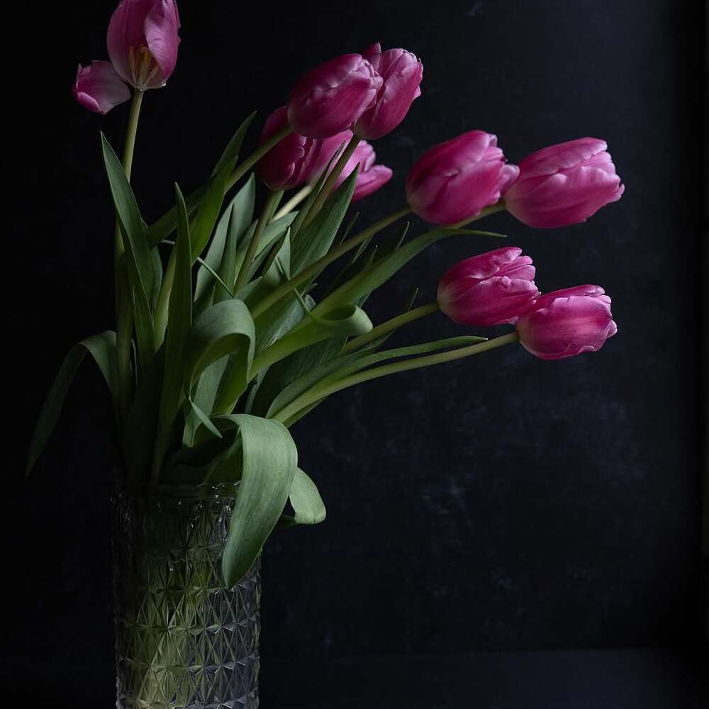 Elegant tulips symbolizing growth journey Elegant tulips symbolizing growth journey