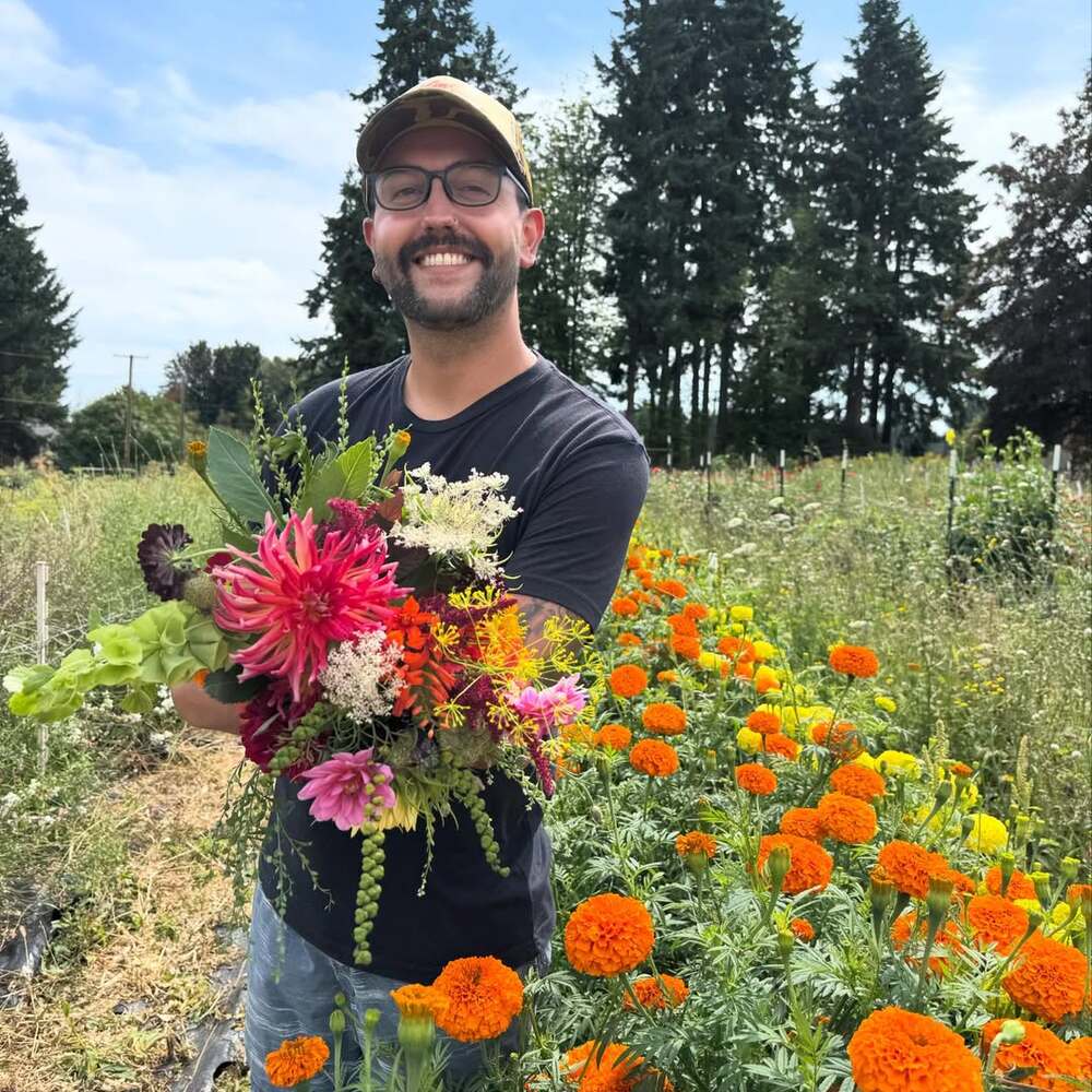 Freshly harvested blooms in flower field Freshly harvested blooms in flower field