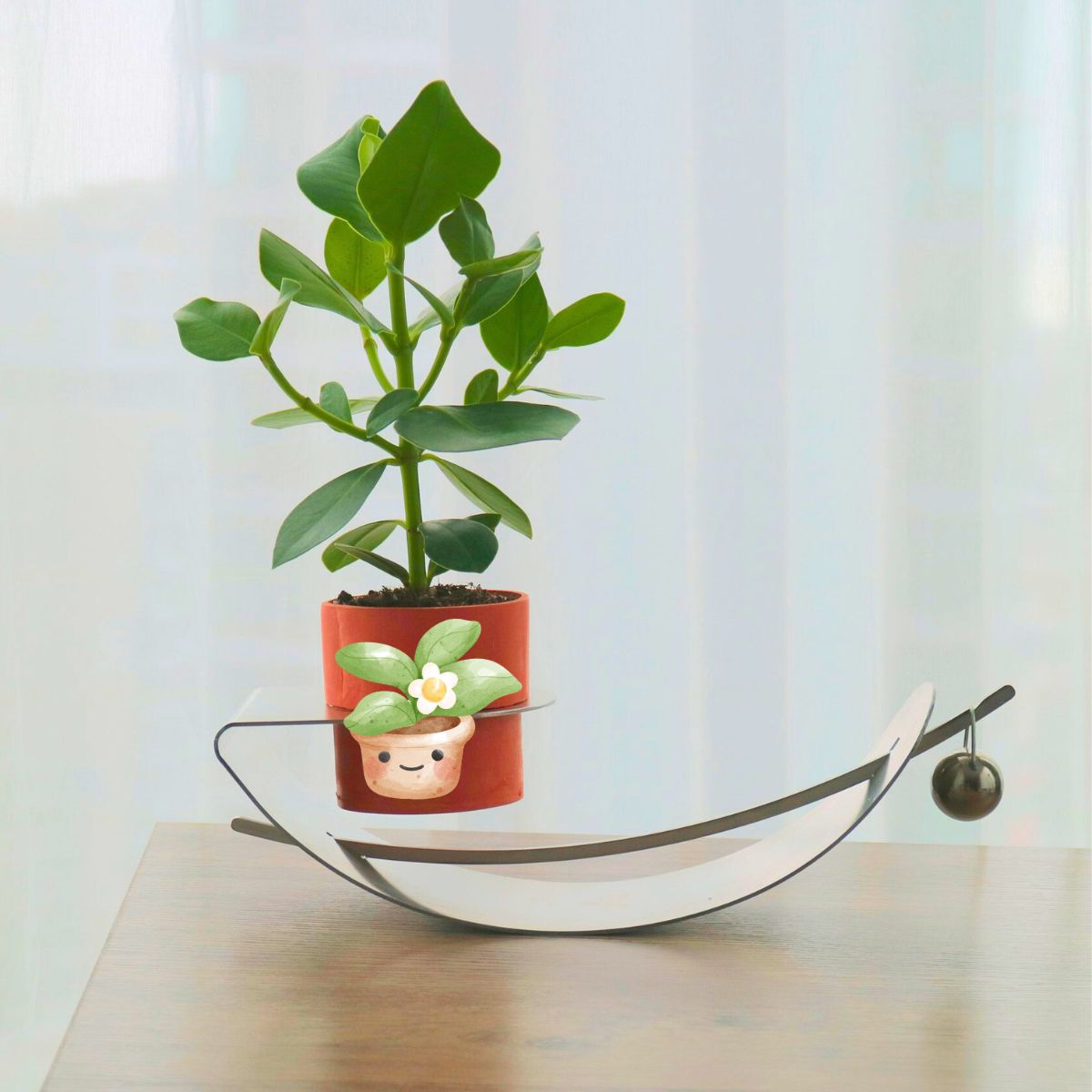 A happy plant being moisturized