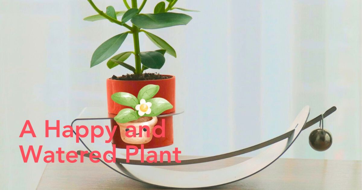 A happy and watered plant
