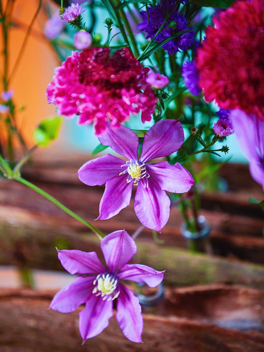 Marginpar’s Aster Meets Bark in an Avant-Garde Take On Floral Arrangements - Thursd Article