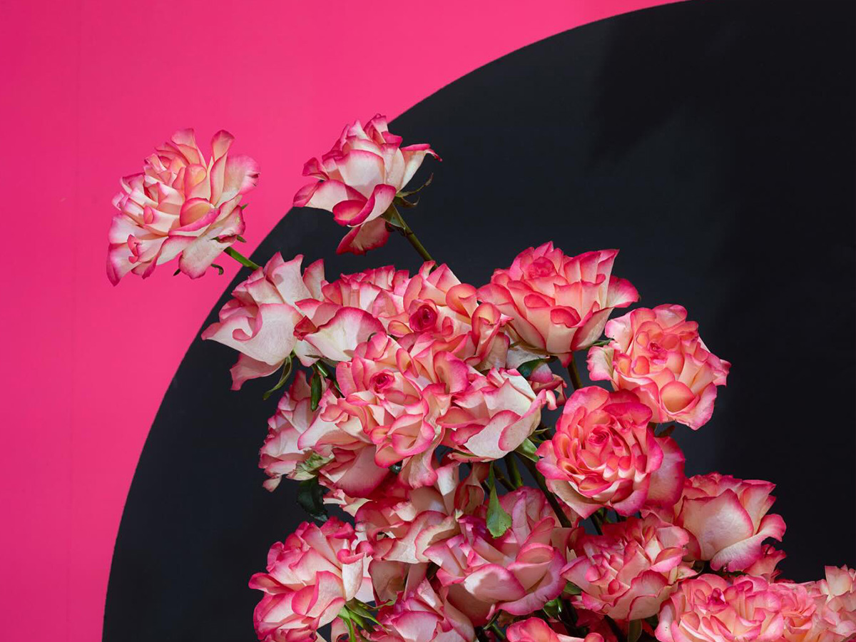 Robert Bartolen Mrs. Vase Rose Jumilia detail Robert Bartolen Mrs. Vase Rose Jumilia detail