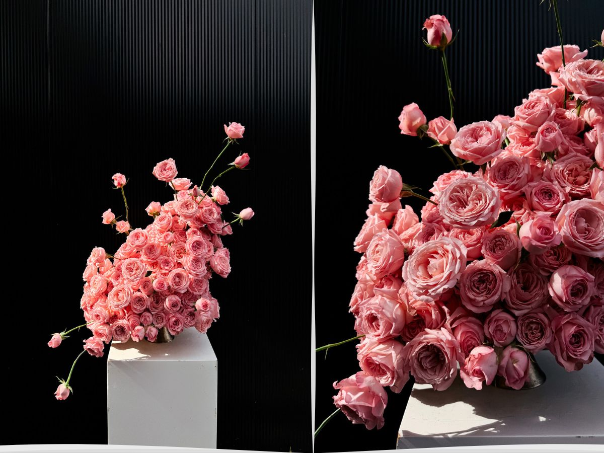 Viking Roses