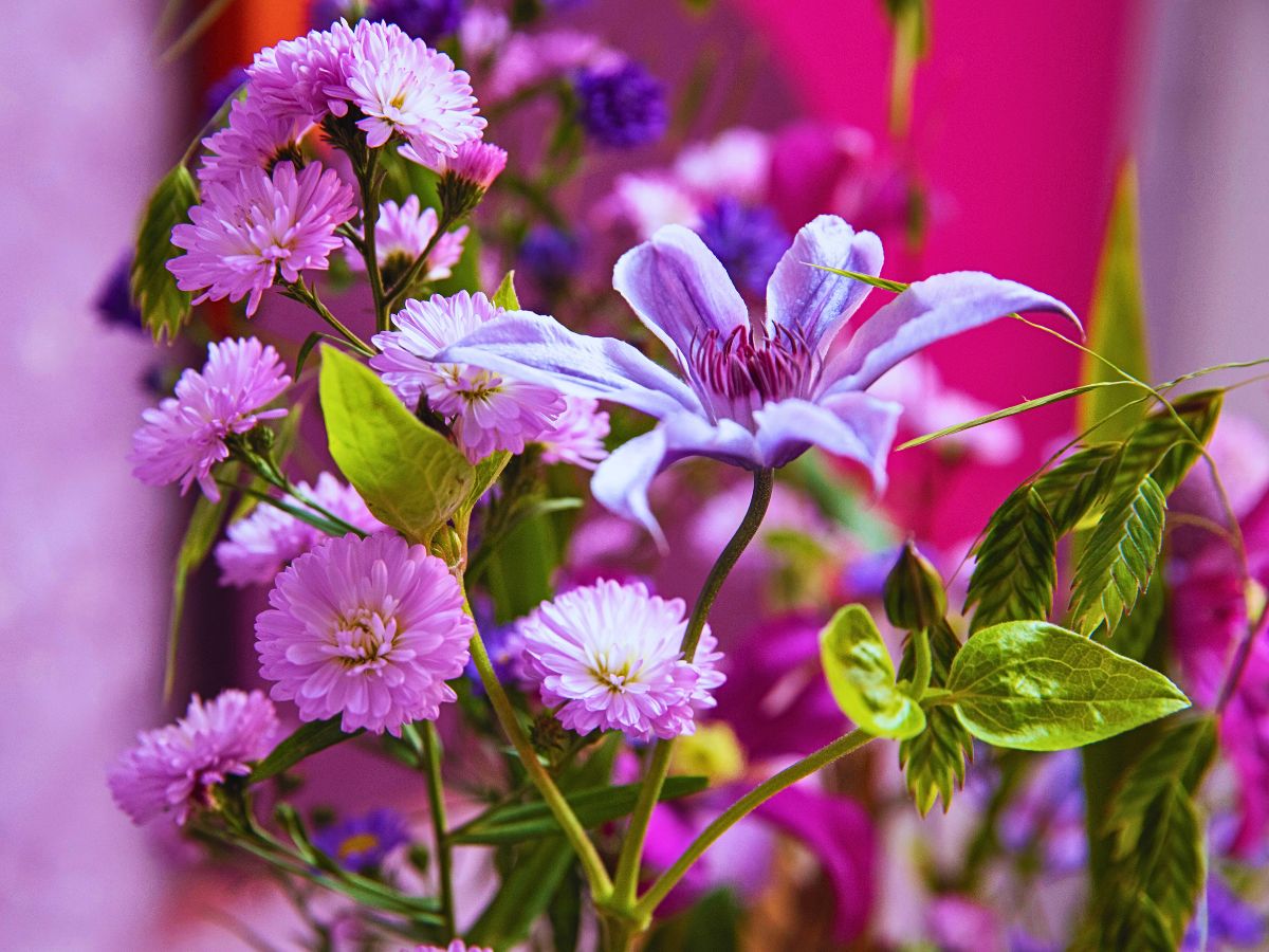 Marginpar’s Aster Meets Bark in an Avant-Garde Take On Floral Arrangements - Thursd Article