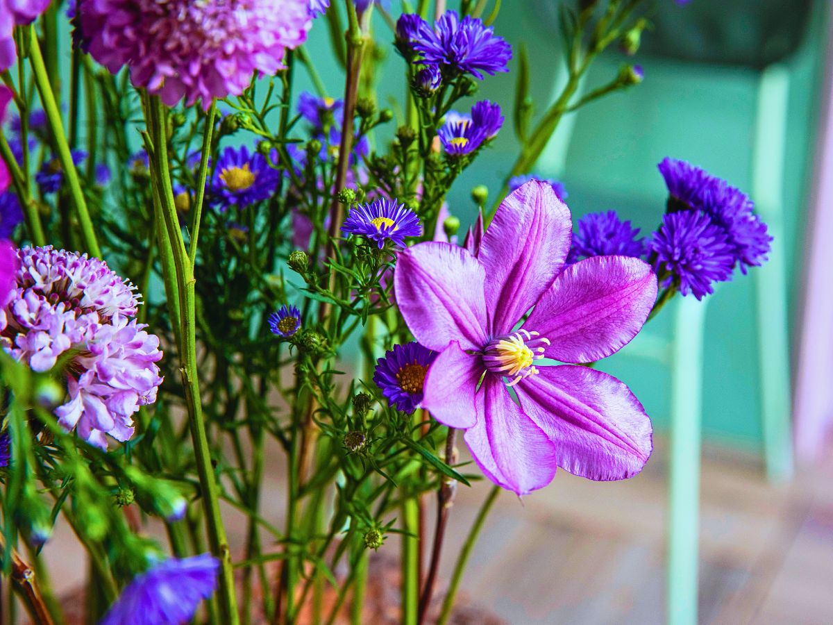 Marginpar’s Aster Meets Bark in an Avant-Garde Take On Floral Arrangements - Thursd Article