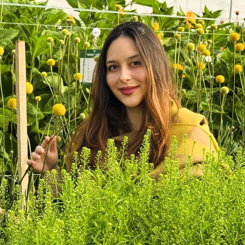 10 Questions to Daniela Espana