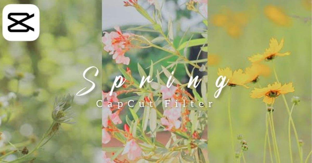 flower image editing from capcut tool