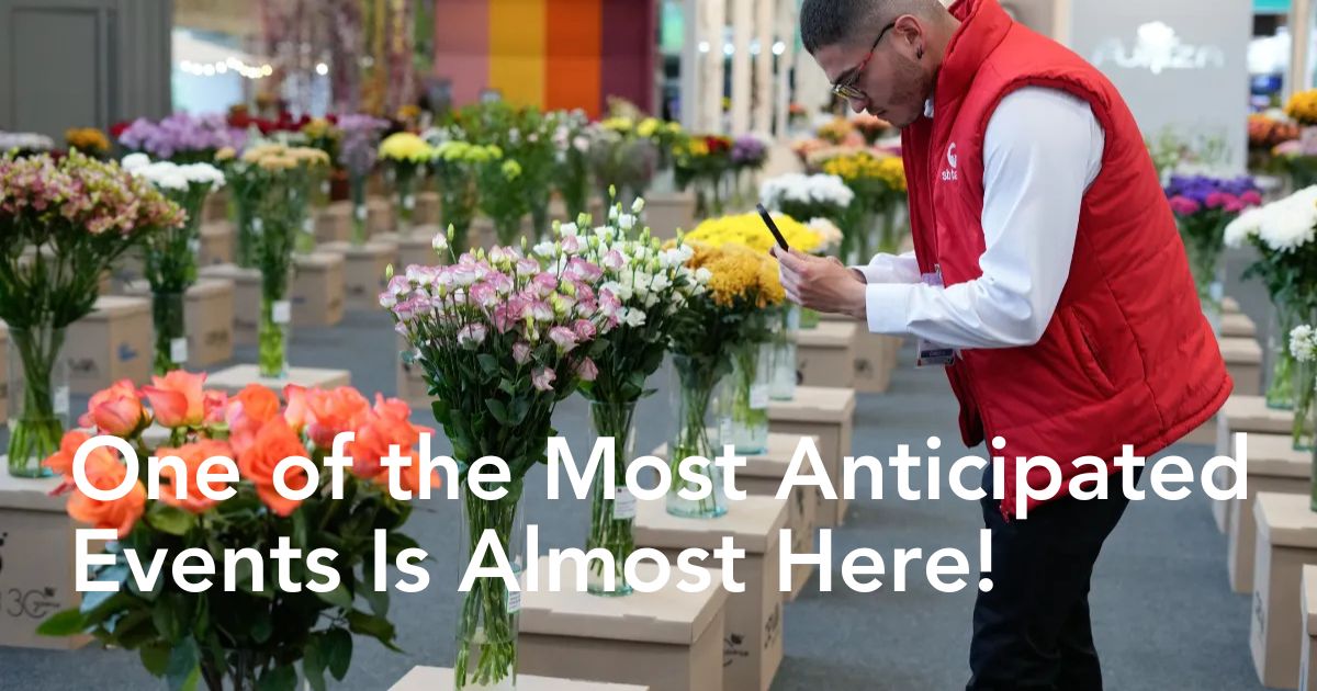 Moments during Proflora