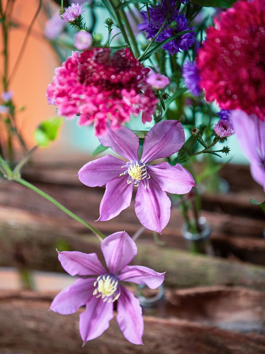 Marginpar’s Aster Meets Bark in an Avant-Garde Take On Floral Arrangements - Thursd Article