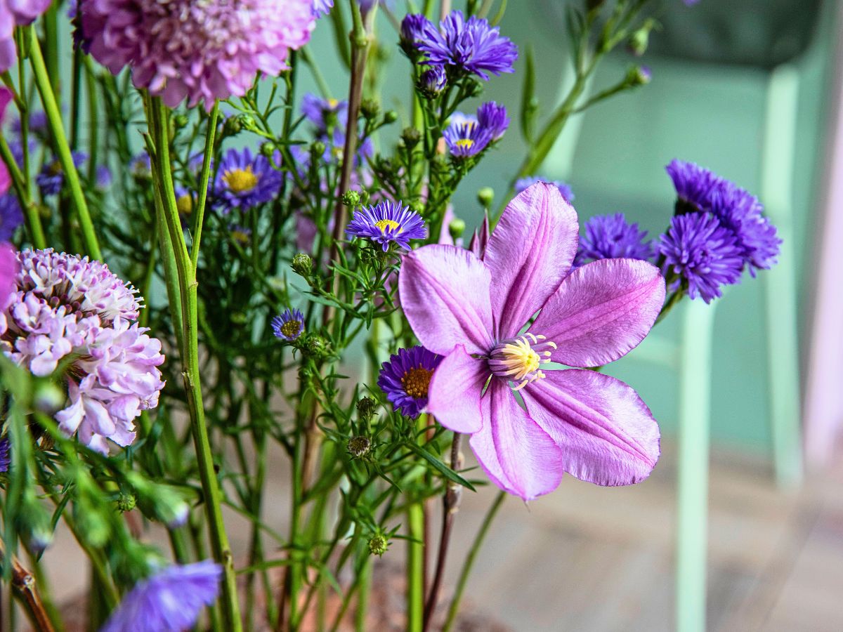 Marginpar’s Aster Meets Bark in an Avant-Garde Take On Floral Arrangements - Thursd Article