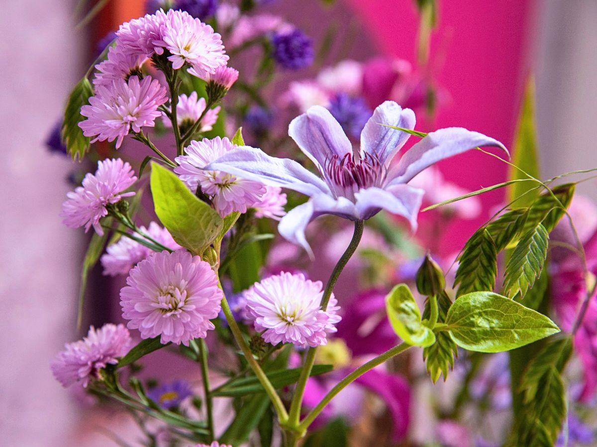Marginpar’s Aster Meets Bark in an Avant-Garde Take On Floral Arrangements - Thursd Article