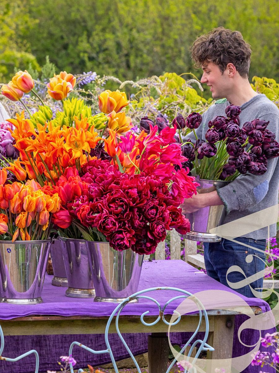 Cut flowers Finding Your Way to Floriculture Sustainability Funding With Sustainabloom