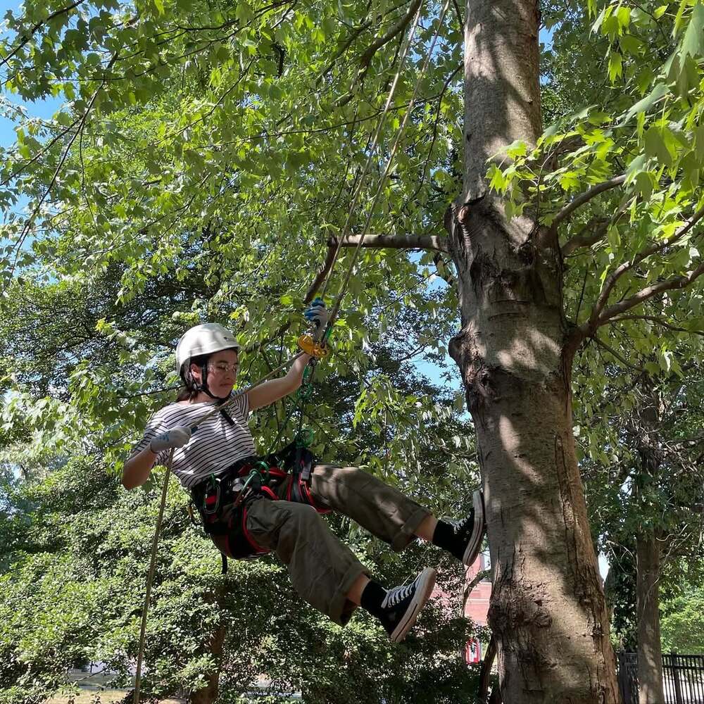 Student climbing tree with safety gear