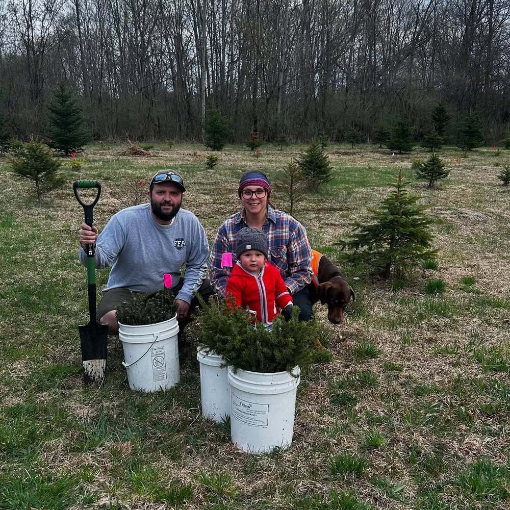 Tree planting activity in open field