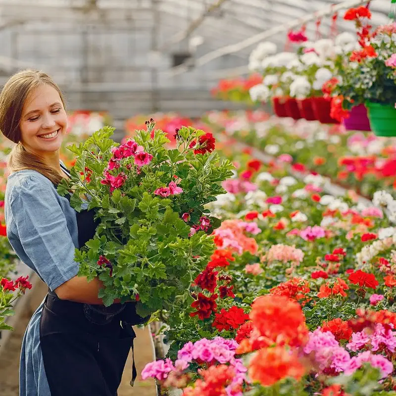 Finding Your Way to Floriculture Sustainability Funding With Sustainabloom - Thursd Article