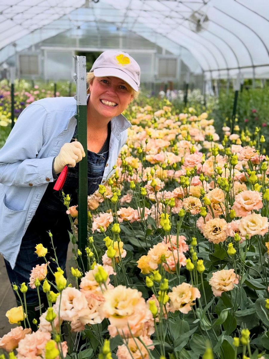 Lisianthus cultivation Sustainabloom Has the Resources to Help You Determine Your Floral Business Return on Investments - Thursd Article.