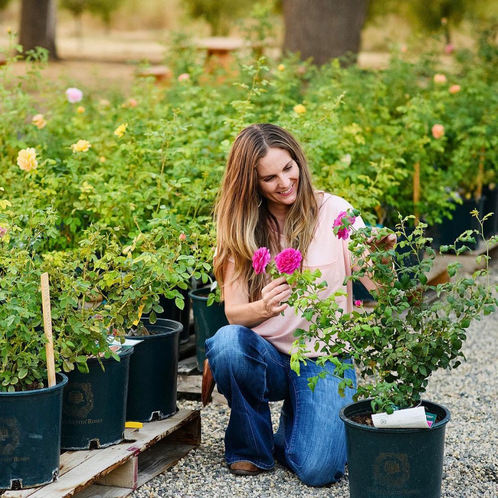 Farming roses Sustainabloom Has the Resources to Help You Determine Your Floral Business Return on Investments - Thursd Article.