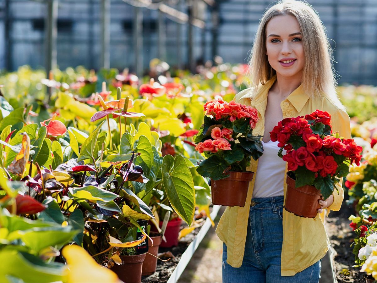 Growing flowers and plants Sustainabloom Has the Resources to Help You Determine Your Floral Business Return on Investments - Thursd Article.