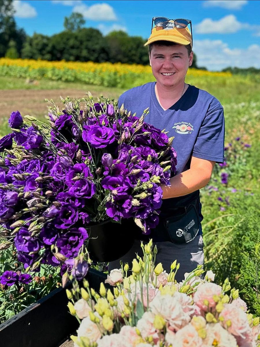 Lisianthus gathering season Sustainabloom Has the Resources to Help You Determine Your Floral Business Return on Investments - Thursd Article.
