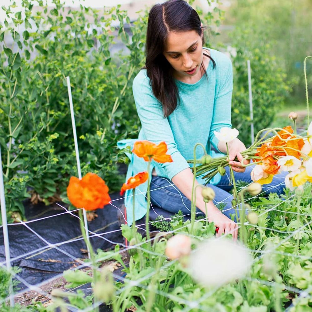 Flower farming Sustainabloom Has the Resources to Help You Determine Your Floral Business Return on Investments - Thursd Article.