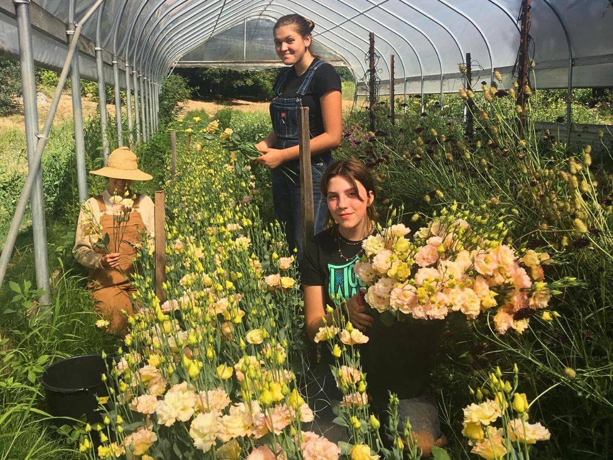 Growing flowers Sustainabloom Has the Resources to Help You Determine Your Floral Business Return on Investments - Thursd Article.