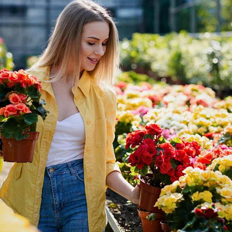 Sustainabloom Has the Resources to Help You Determine Your Floral Business Return on Investments - Thursd Article.
