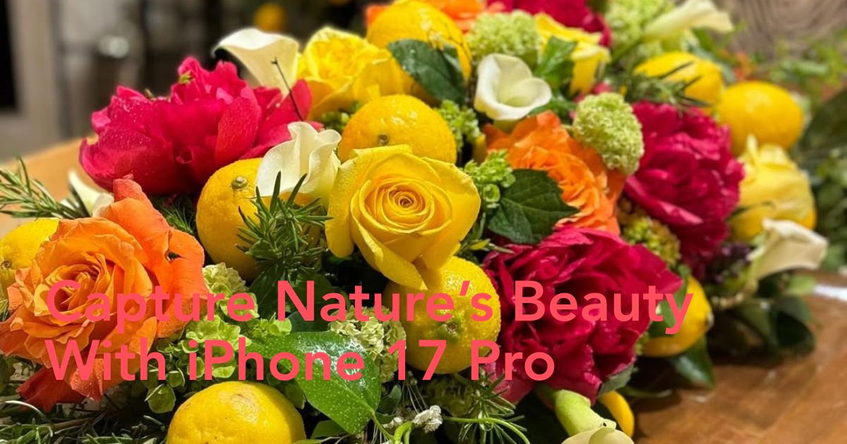 Flower and Landscape Photography iPhone Header Image