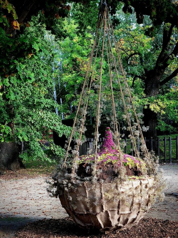 Design Japanese Garden 3 Haiku in bloom by Tom de Houwer flowers Just Chrys - Blog on Thursd