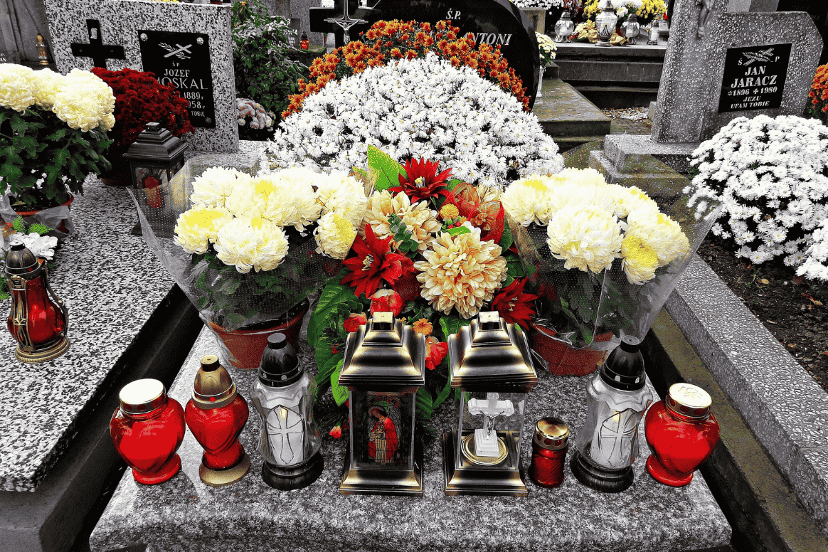 The History of the Chrysanthemum flower of death