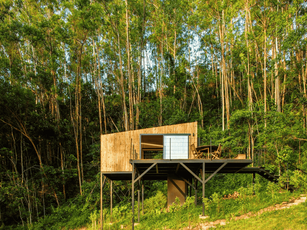 View of the cabin surrounded by trees