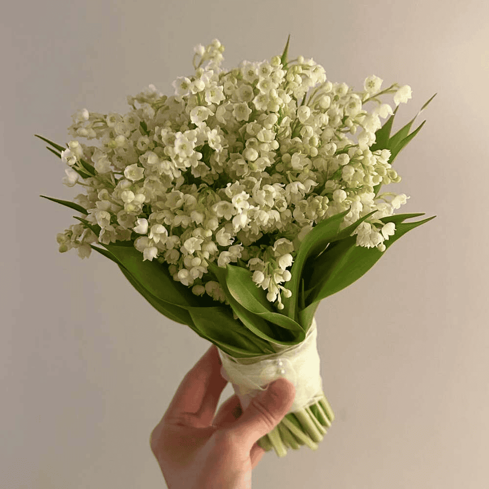 A person holding a fresh bouquet of white Lily of the Valley flowers wrapped in delicate white fabric with pearl accents, against a neutral background.