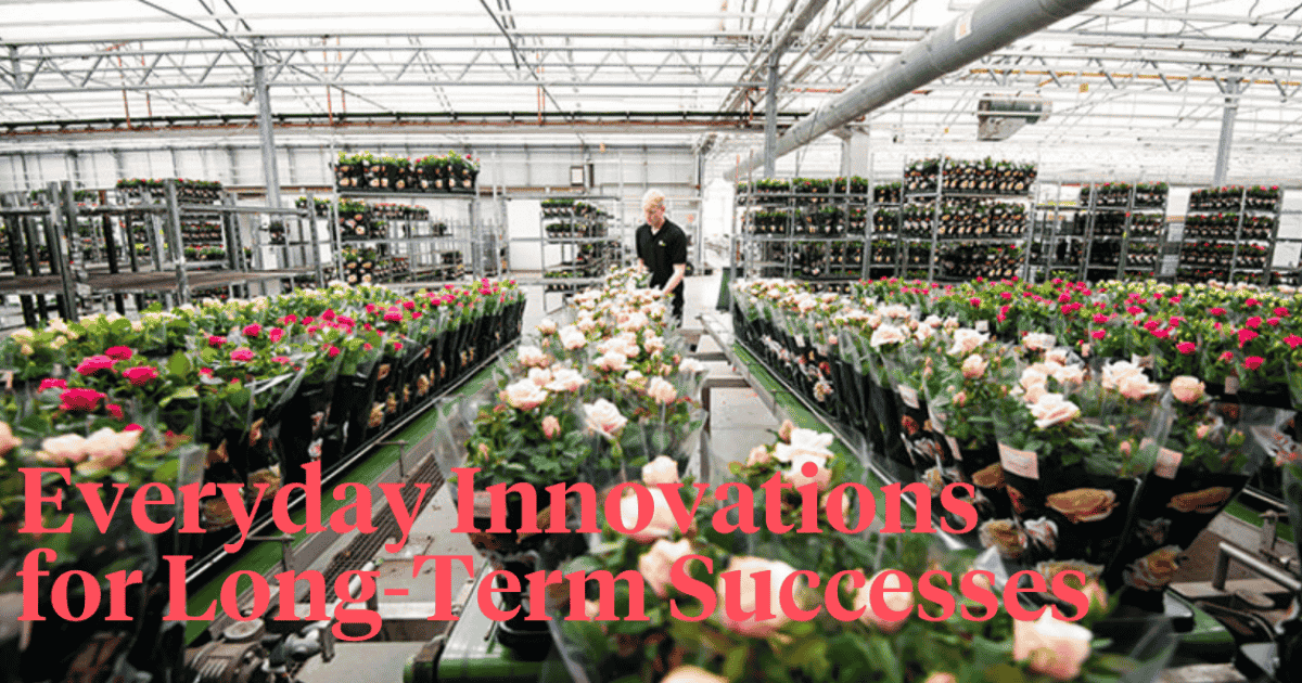Prepare for spring with nolina - Thursd article header image